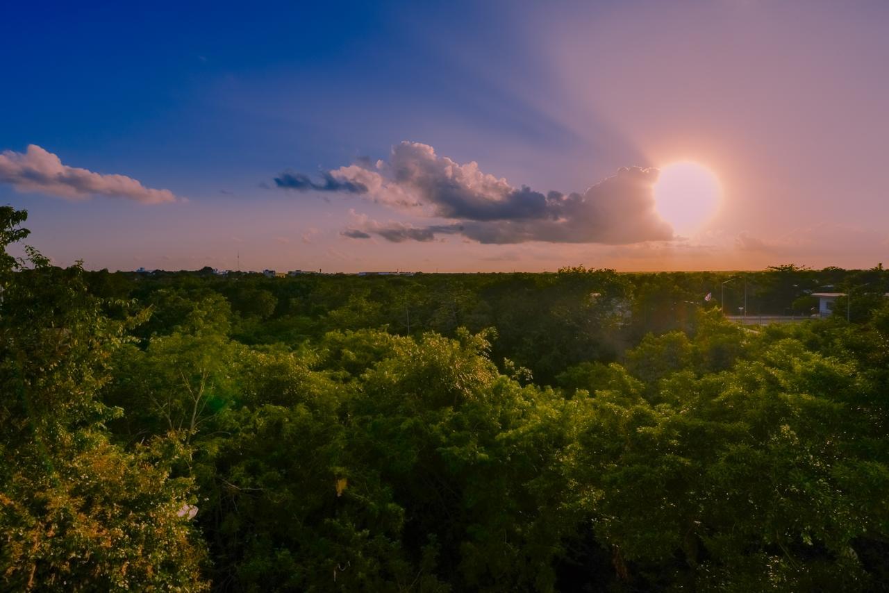 Condo Casa Del Arbol Πλάγια Ντελ Κάρμεν Εξωτερικό φωτογραφία