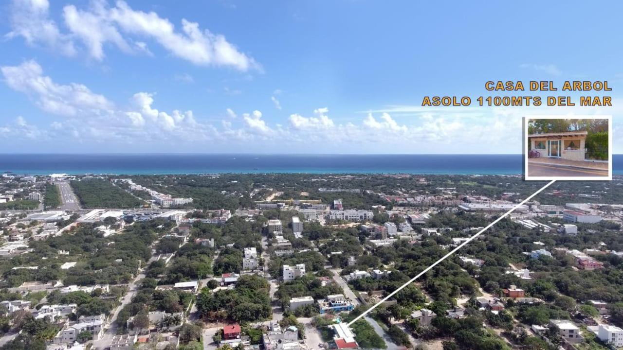 Condo Casa Del Arbol Πλάγια Ντελ Κάρμεν Εξωτερικό φωτογραφία